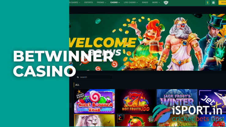 Exploring the BetWinner Platform A Comprehensive Guide